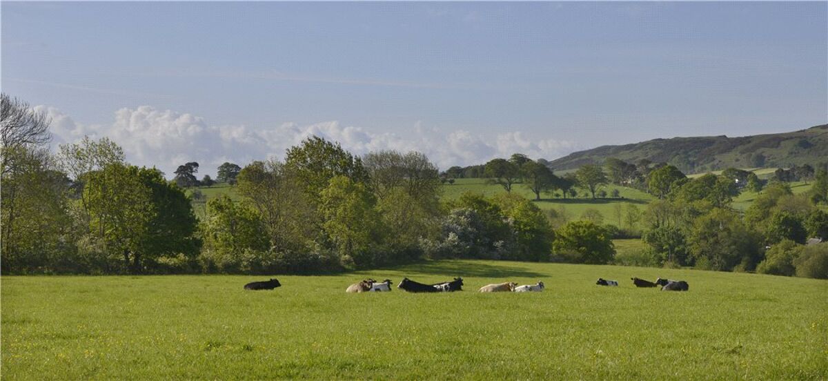 farm/estate for sale in Hightae, Lockerbie, Dumfries and Galloway, DG11