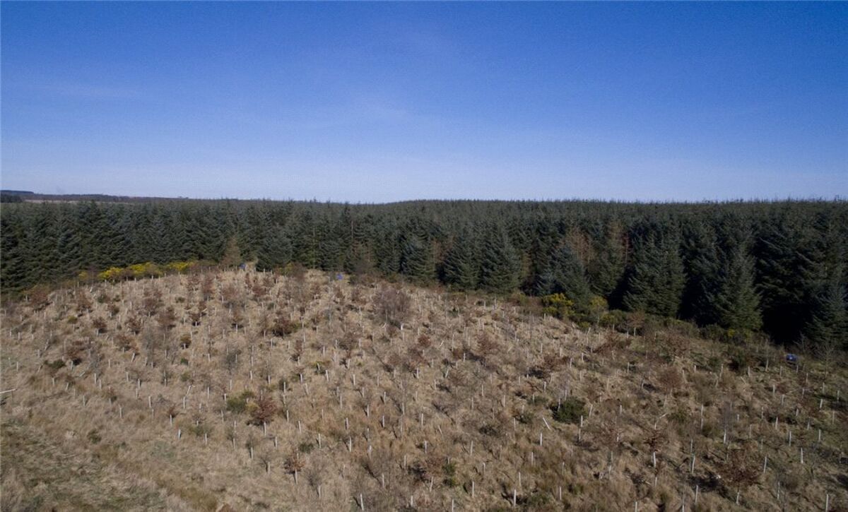 Land for sale in Carnoustie, Angus, DD7 EDN170007 Knight Frank