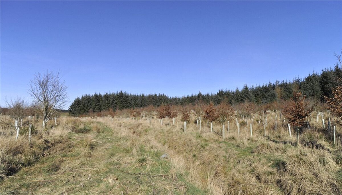 Land for sale in Carnoustie, Angus, DD7 EDN170007 Knight Frank