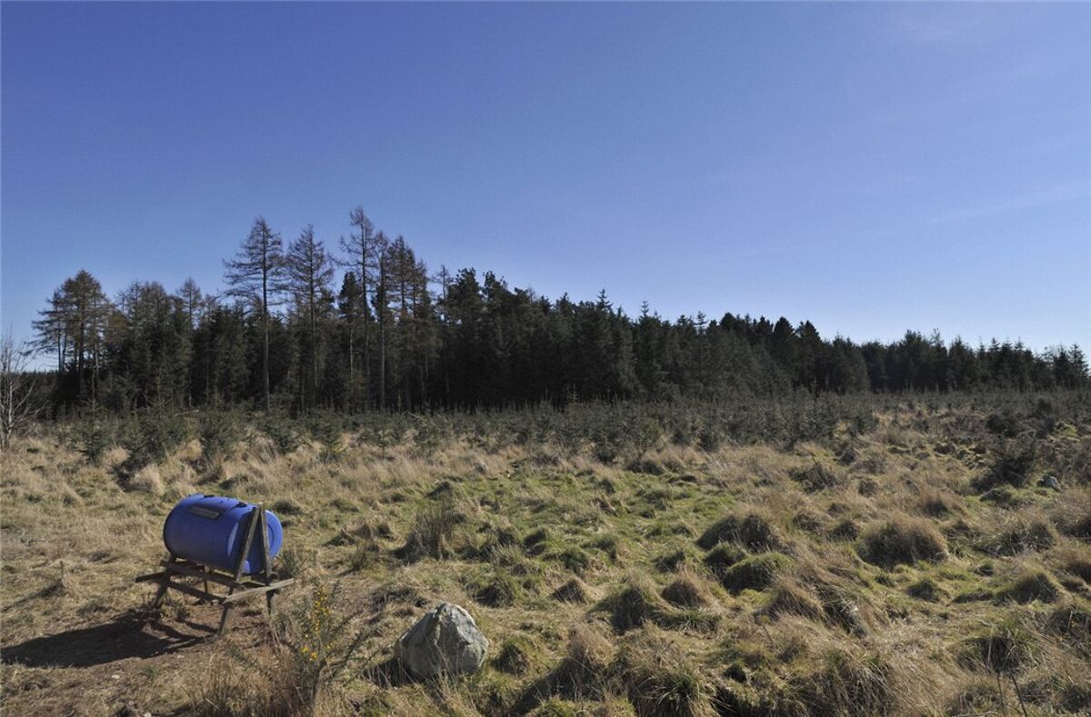 Land for sale in Carnoustie, Angus, DD7 EDN170007 Knight Frank