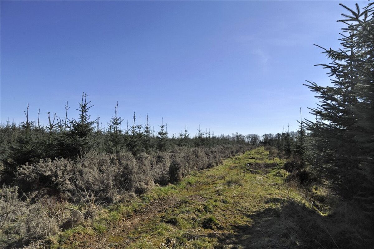 Land for sale in Carnoustie, Angus, DD7 EDN170007 Knight Frank