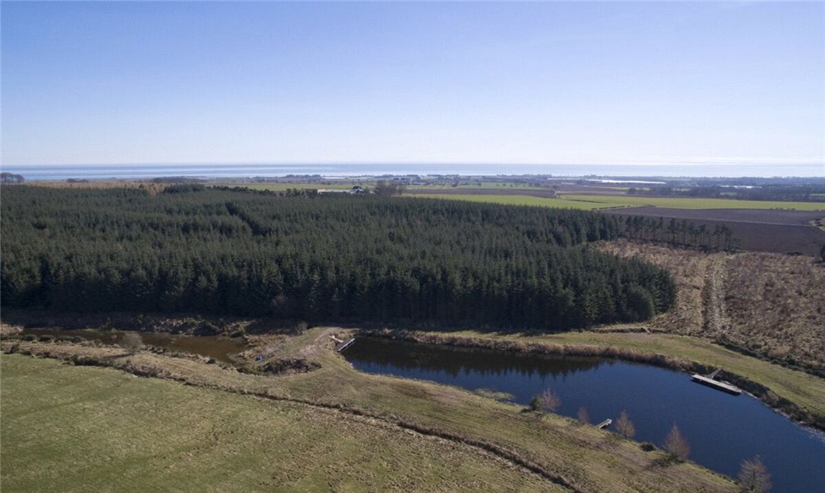 Land for sale in Carnoustie, Angus, DD7 EDN170007 Knight Frank