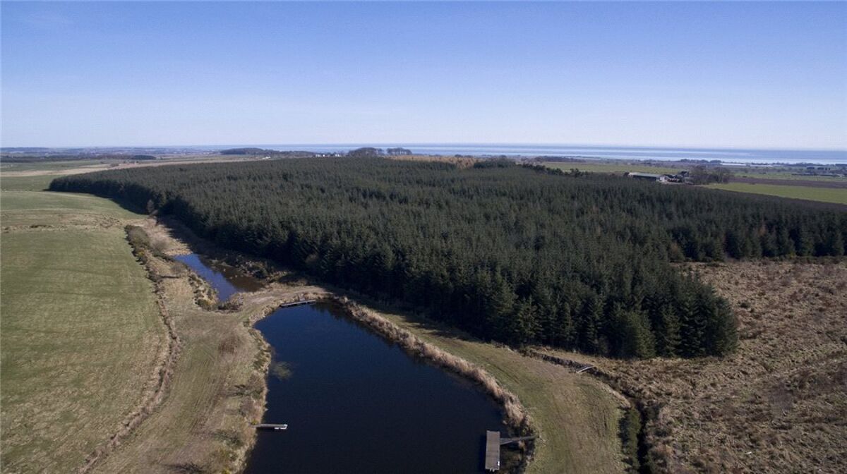 Land for sale in Carnoustie, Angus, DD7 EDN170007 Knight Frank