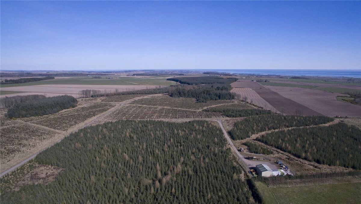 Land for sale in Carnoustie, Angus, DD7 EDN170007 Knight Frank