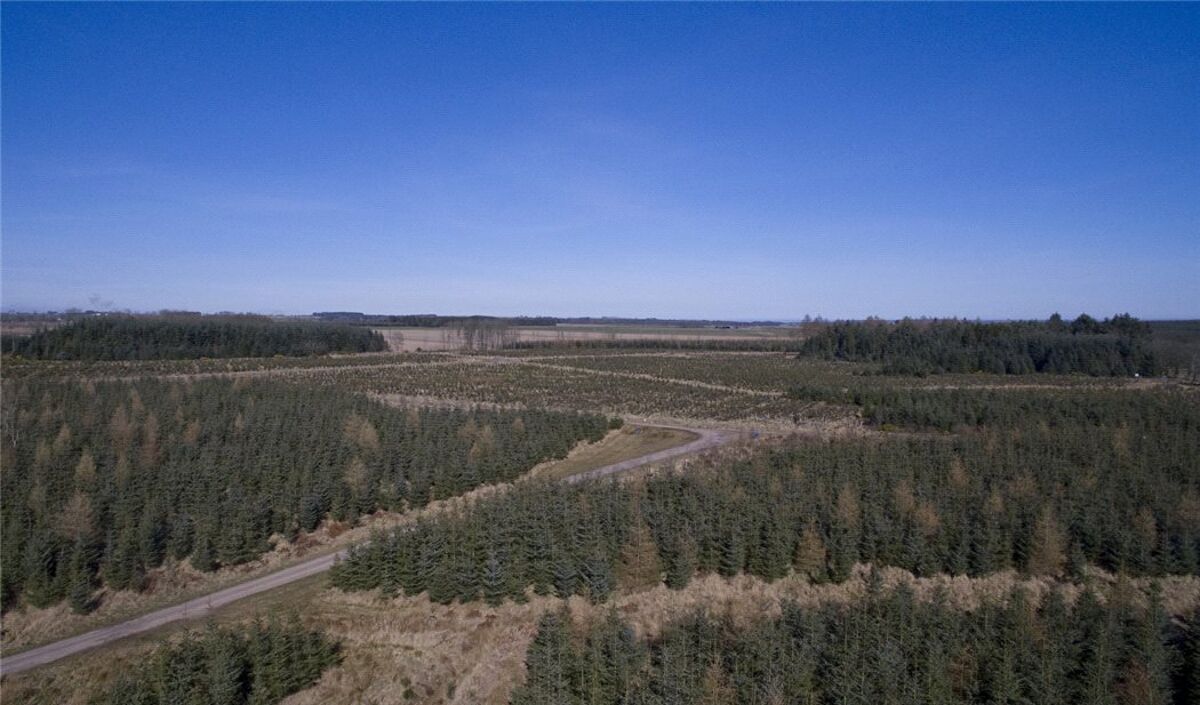 Land for sale in Carnoustie, Angus, DD7 EDN170007 Knight Frank