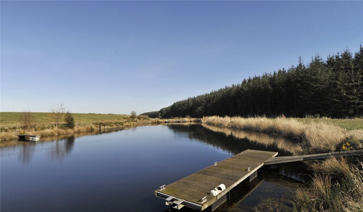 Land for sale in Carnoustie, Angus, DD7 EDN170007 Knight Frank