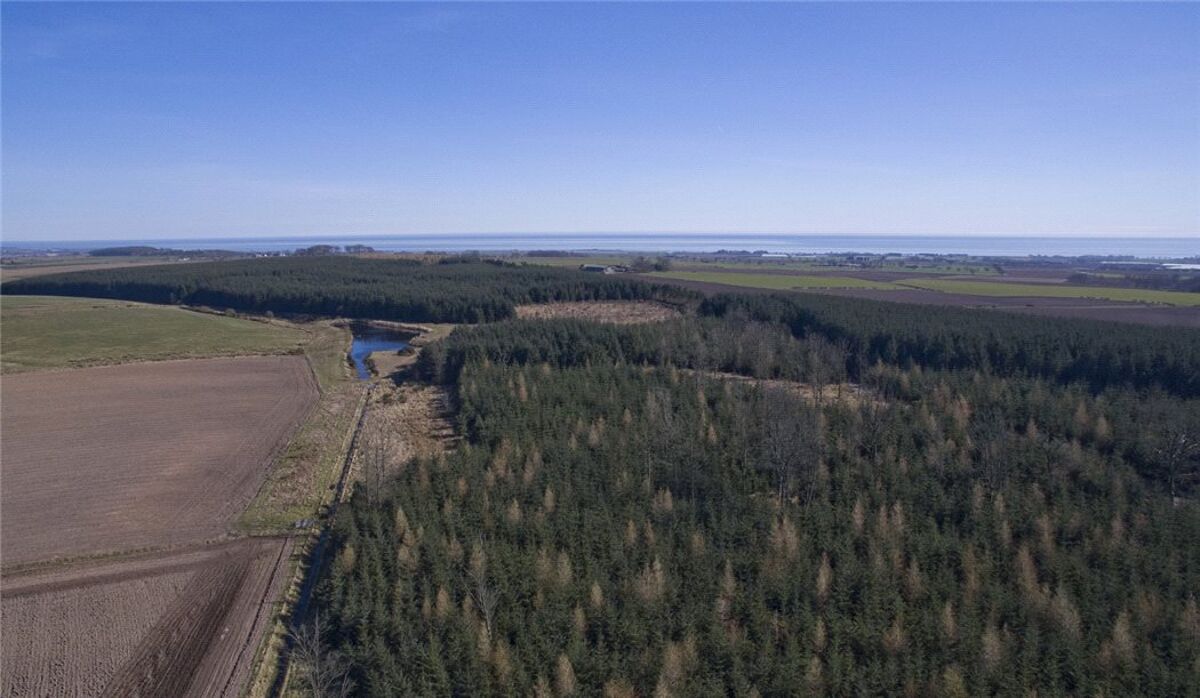 Land for sale in Carnoustie, Angus, DD7 EDN170007 Knight Frank