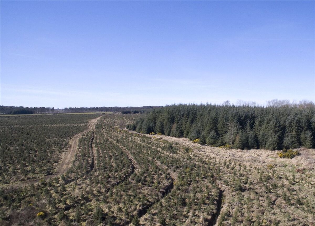 Land for sale in Carnoustie, Angus, DD7 EDN170007 Knight Frank