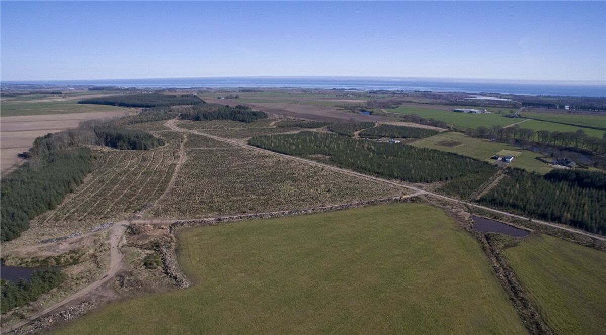 Land for sale in Carnoustie, Angus, DD7 EDN170007 Knight Frank