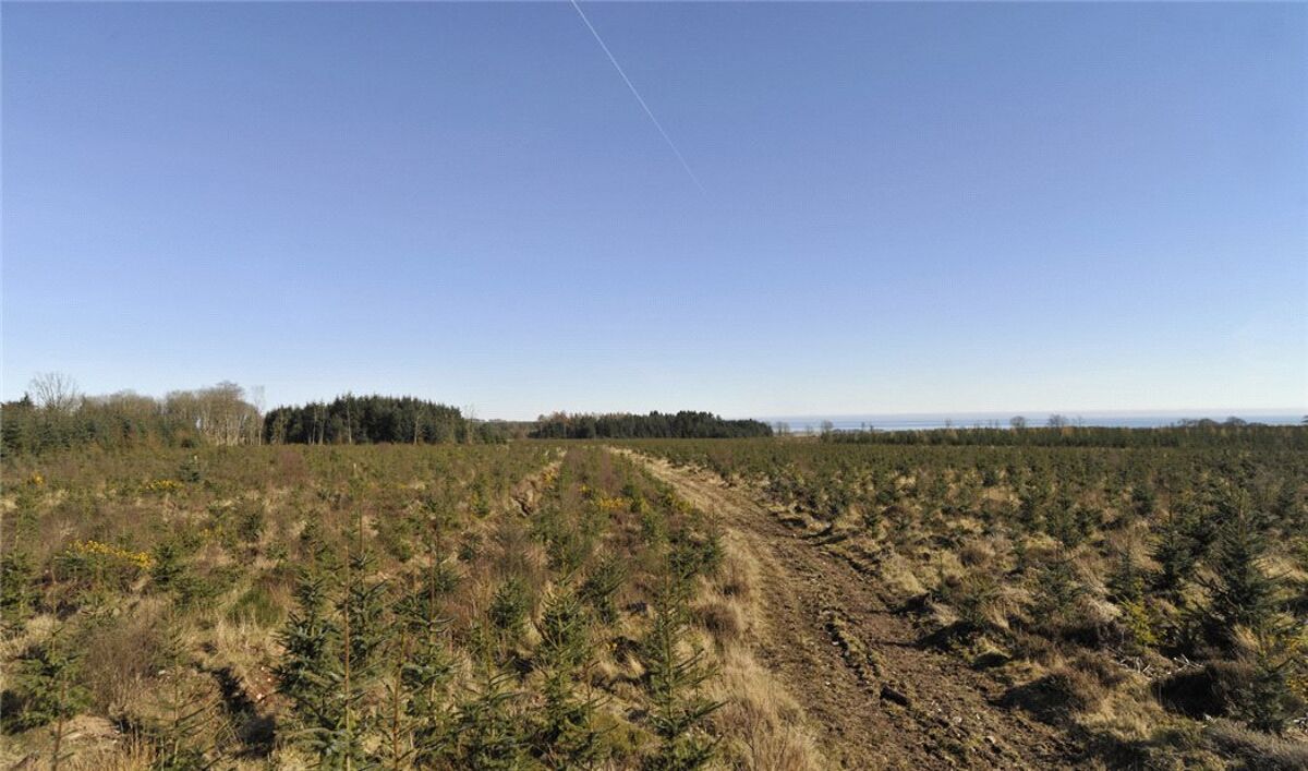 Land for sale in Carnoustie, Angus, DD7 EDN170007 Knight Frank