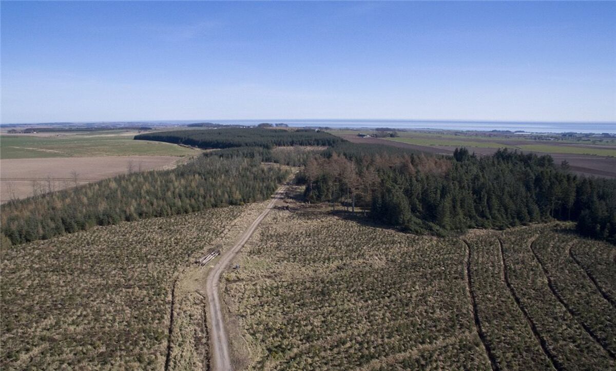 Land for sale in Carnoustie, Angus, DD7 EDN170007 Knight Frank