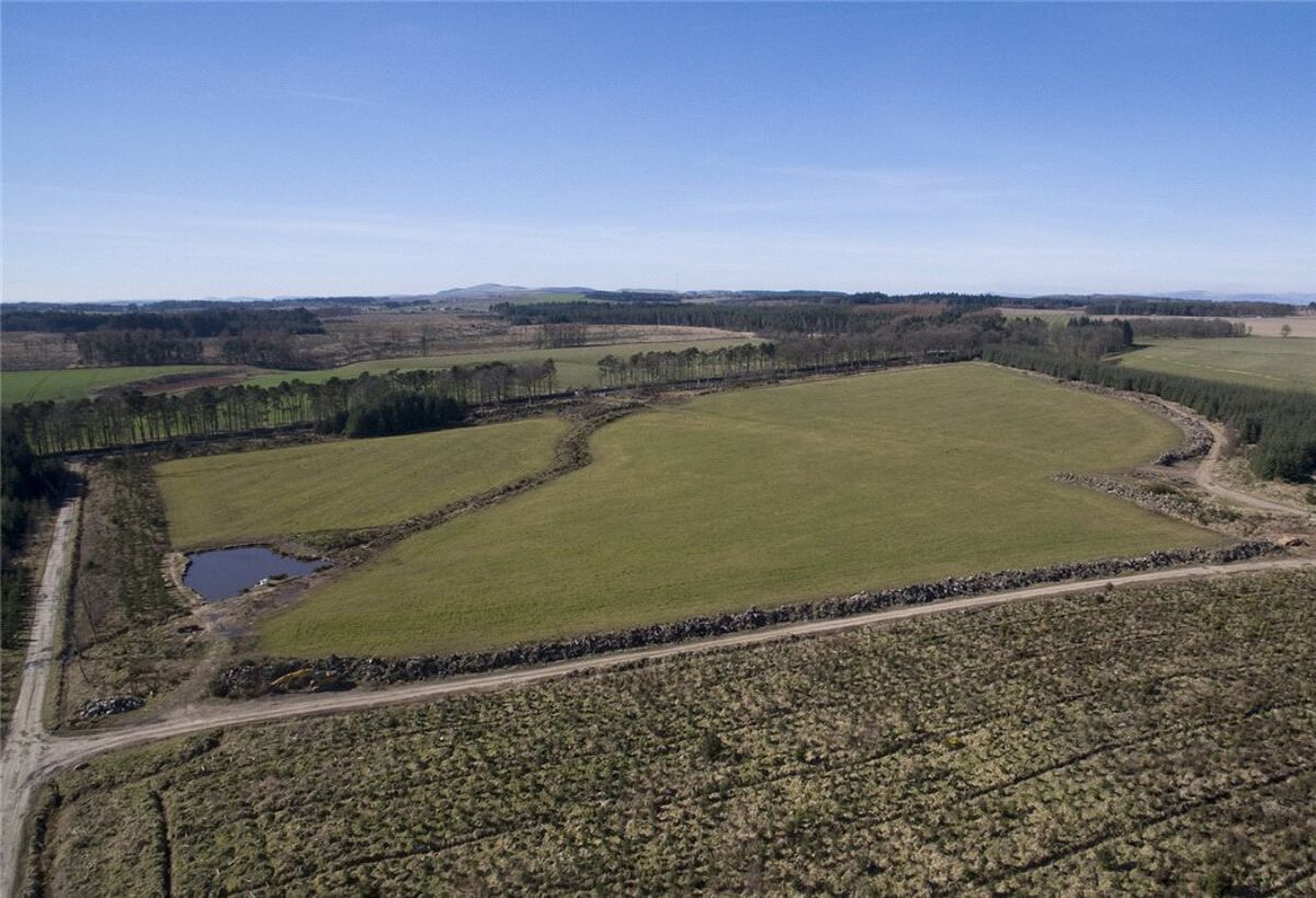 Land for sale in Carnoustie, Angus, DD7 EDN170007 Knight Frank
