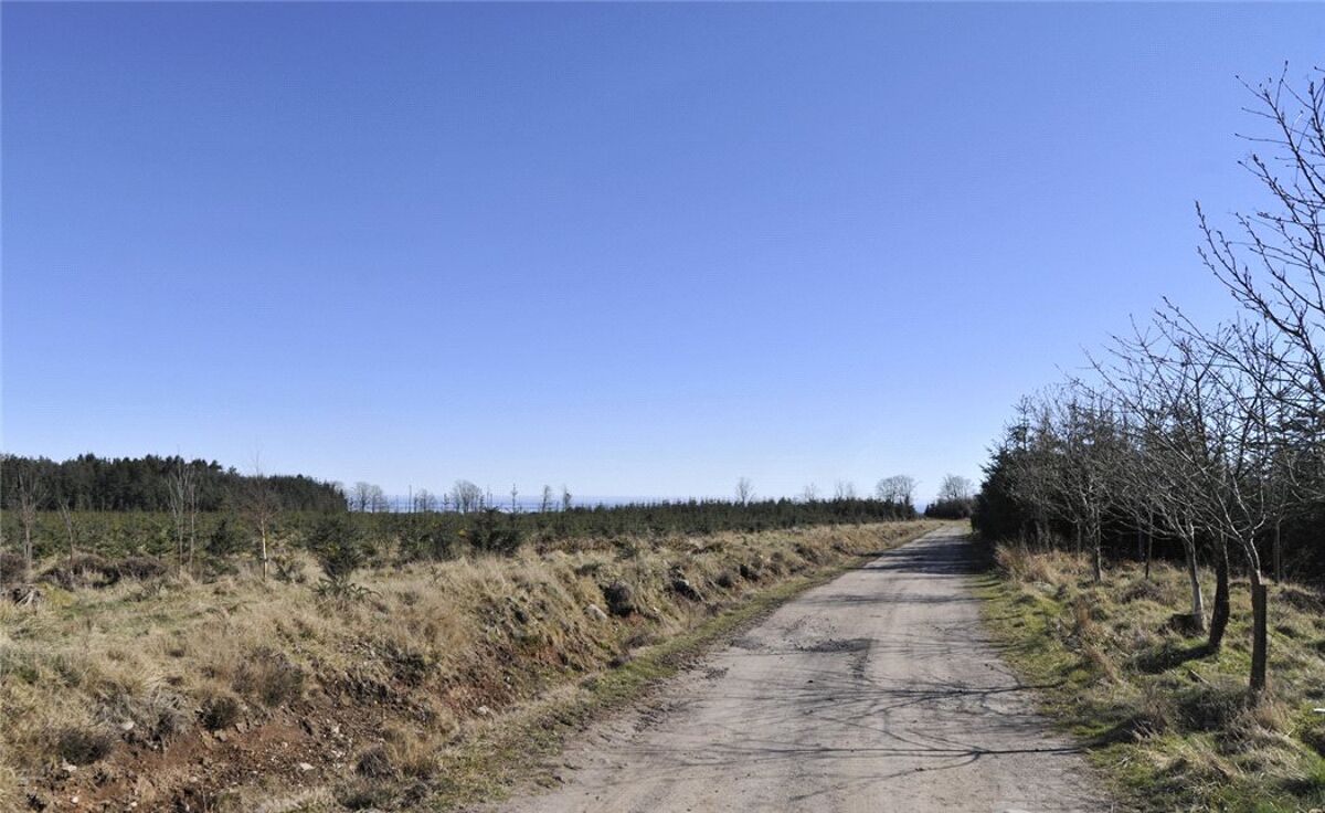 Land for sale in Carnoustie, Angus, DD7 EDN170007 Knight Frank