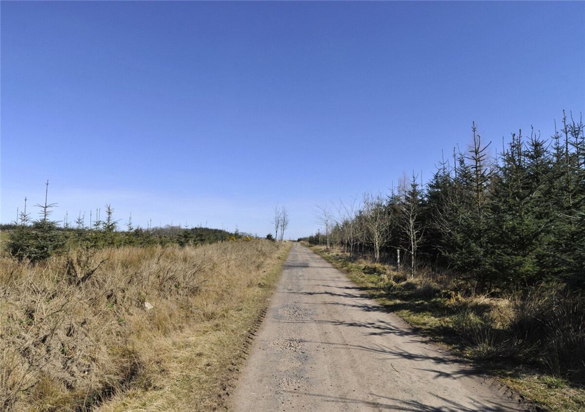 Land for sale in Carnoustie, Angus, DD7 EDN170007 Knight Frank