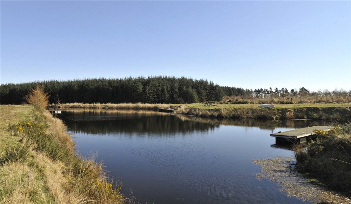 Land for sale in Carnoustie, Angus, DD7 EDN170007 Knight Frank