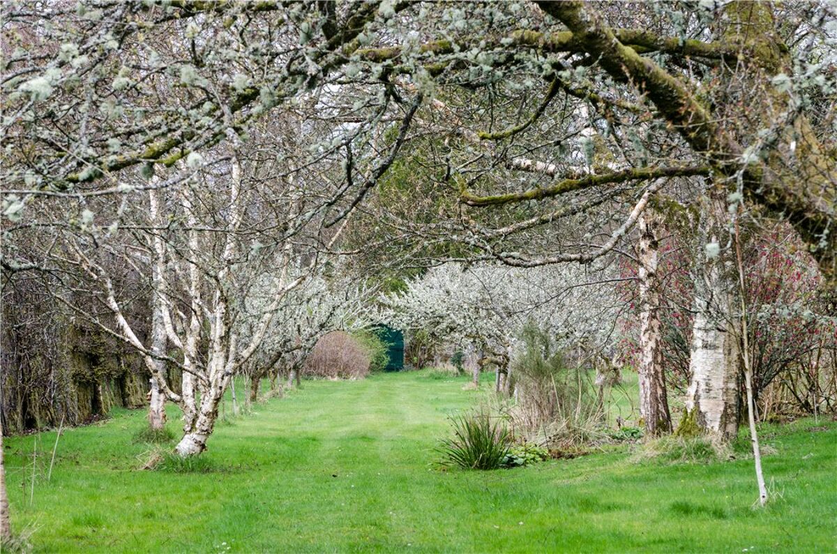 house for sale in Duchal Estate Lot 1, Kilmacolm, Inverclyde, PA13