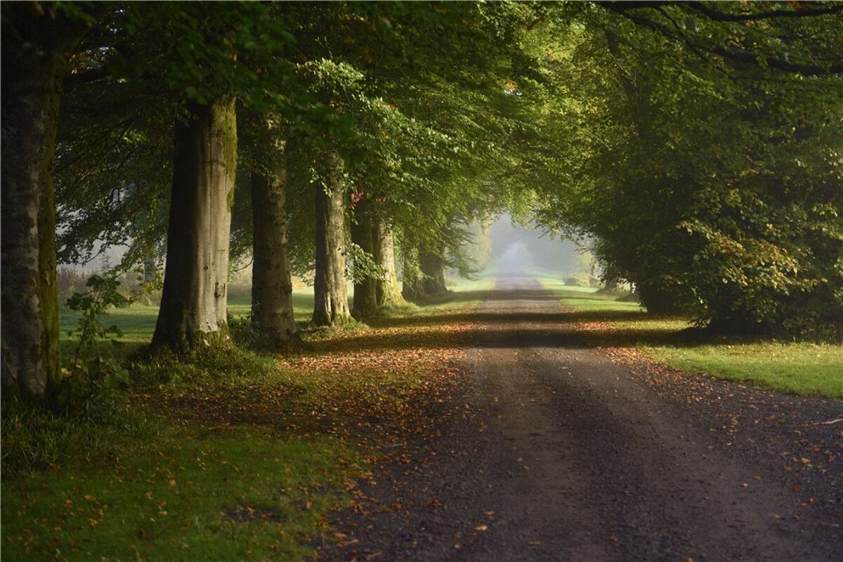 house for sale in Duchal Estate Lot 1, Kilmacolm, Inverclyde, PA13