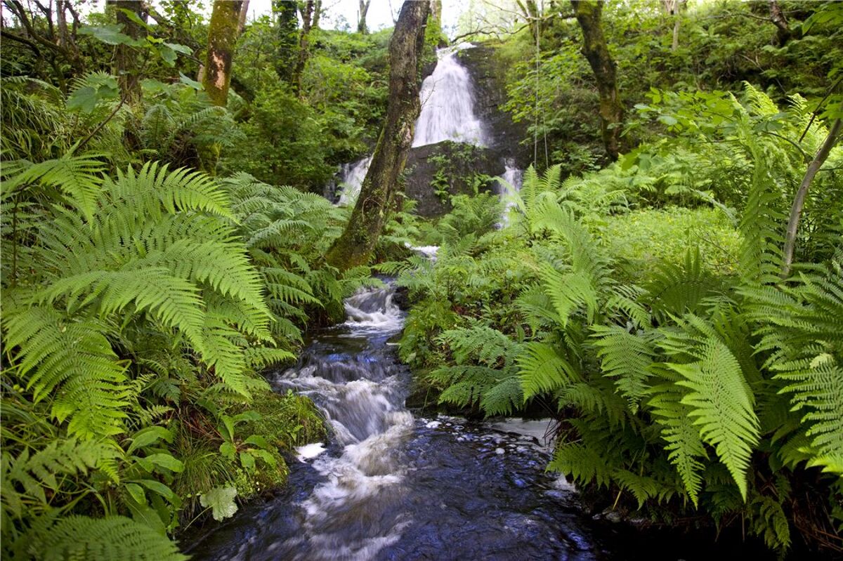 house for sale in Duror, Appin, Highland, PA38 EDN180055 Knight Frank