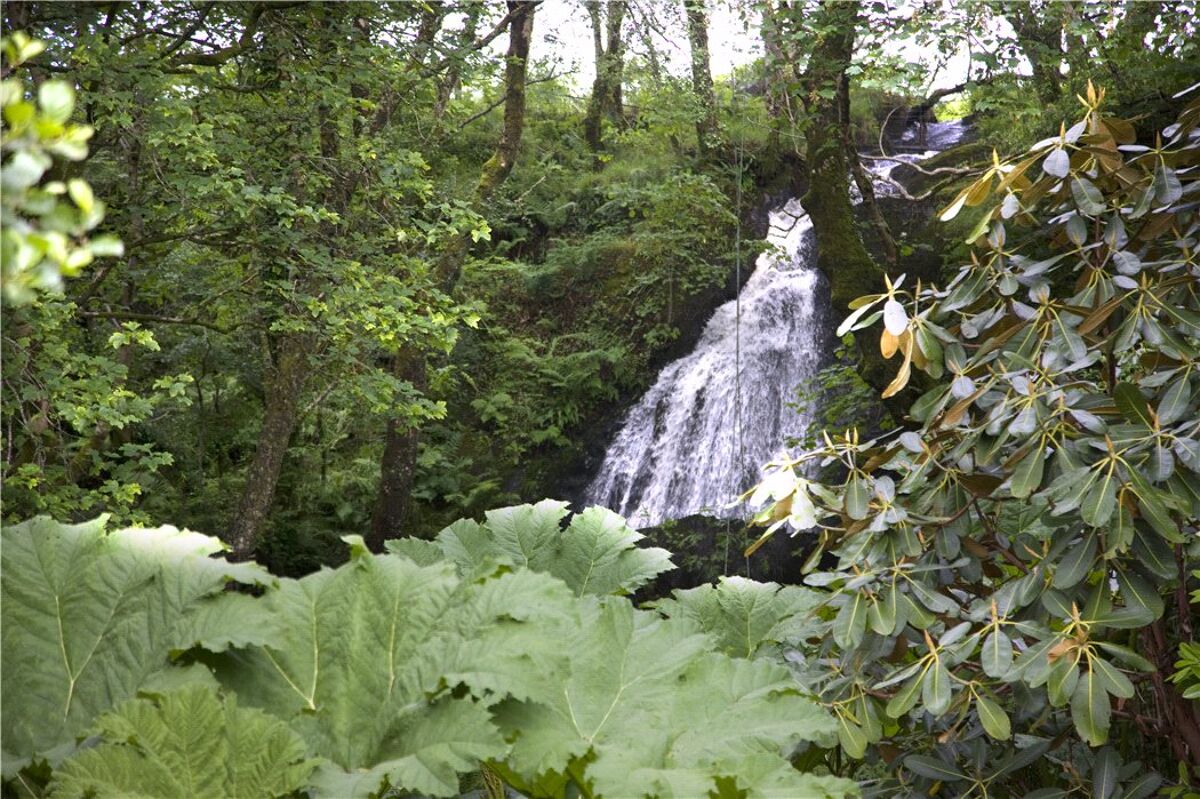 house for sale in Duror, Appin, Highland, PA38 EDN180055 Knight Frank