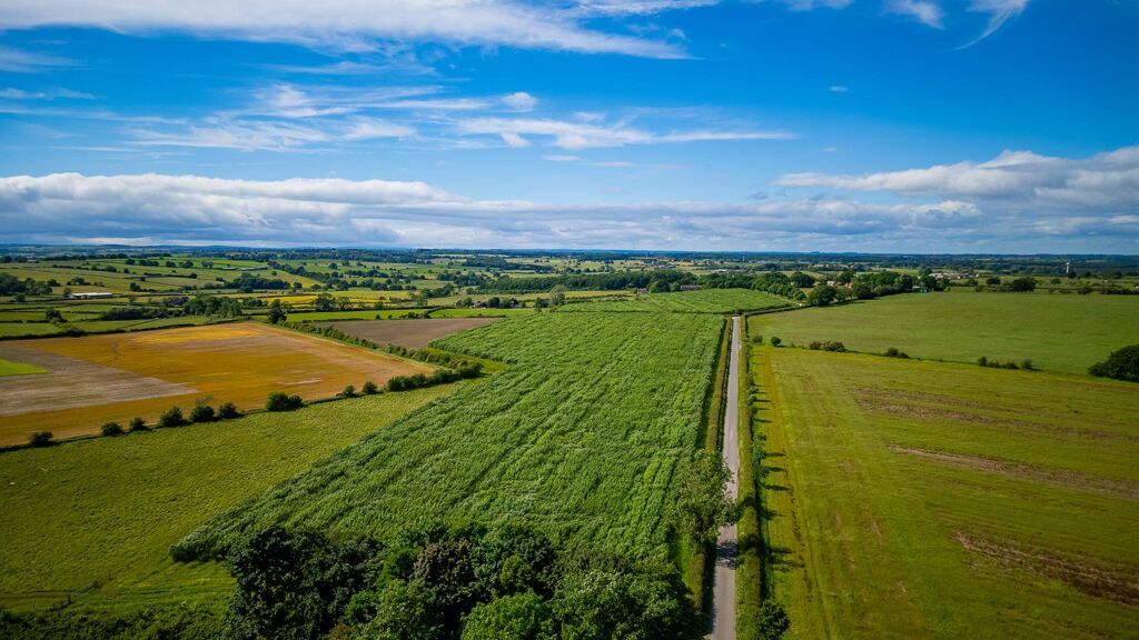 Image of Paddock House Lane, Sicklinghall, Wetherby, LS22