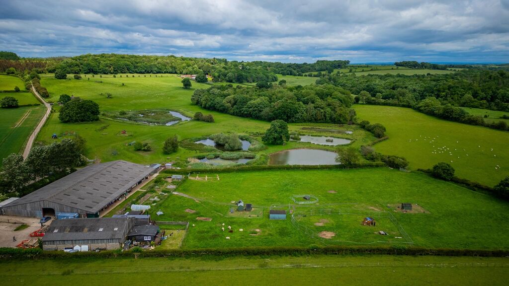 Image of Paddock House Lane, Sicklinghall, Wetherby, North Yorkshire, LS22