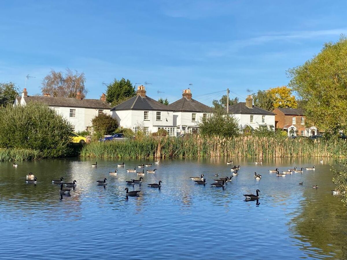 house for sale in Winterdown Road, Esher, Surrey, KT10 ESH012360656