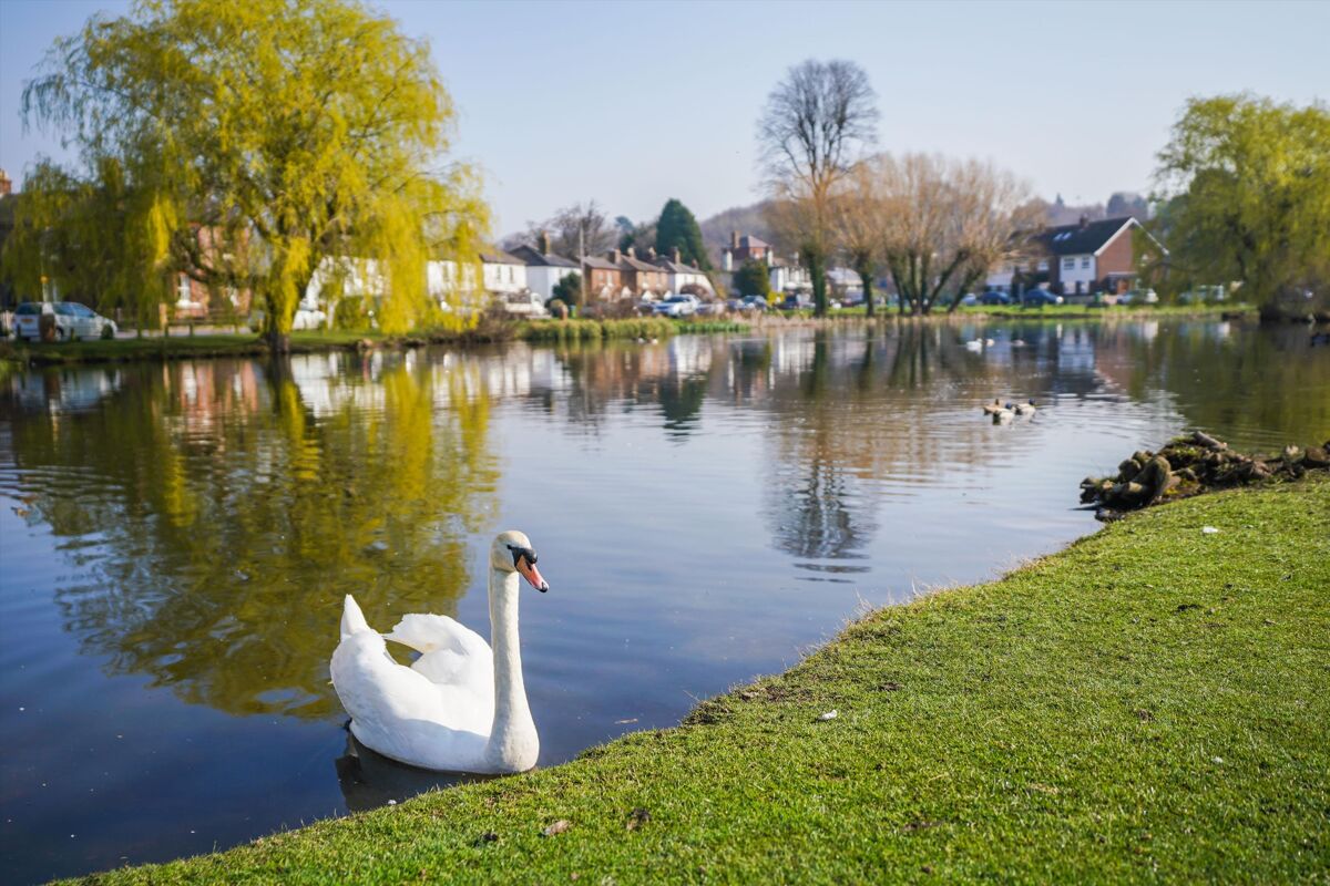 house for sale in Winterdown Road, Esher, Surrey, KT10 ESH012360656