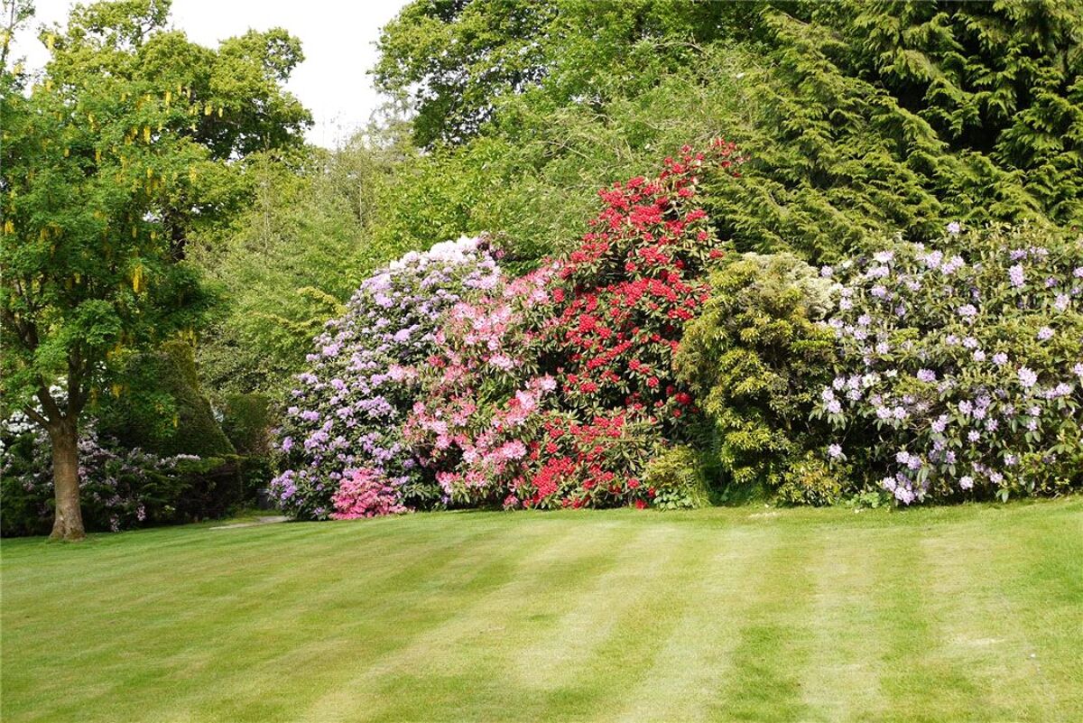 house for sale in Tyrrells Wood, Leatherhead, Surrey, KT22 ESH140155