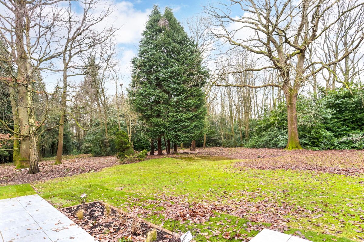 house to rent in Millfield Lane, Reigate, Surrey, KT20 ESQ012307584