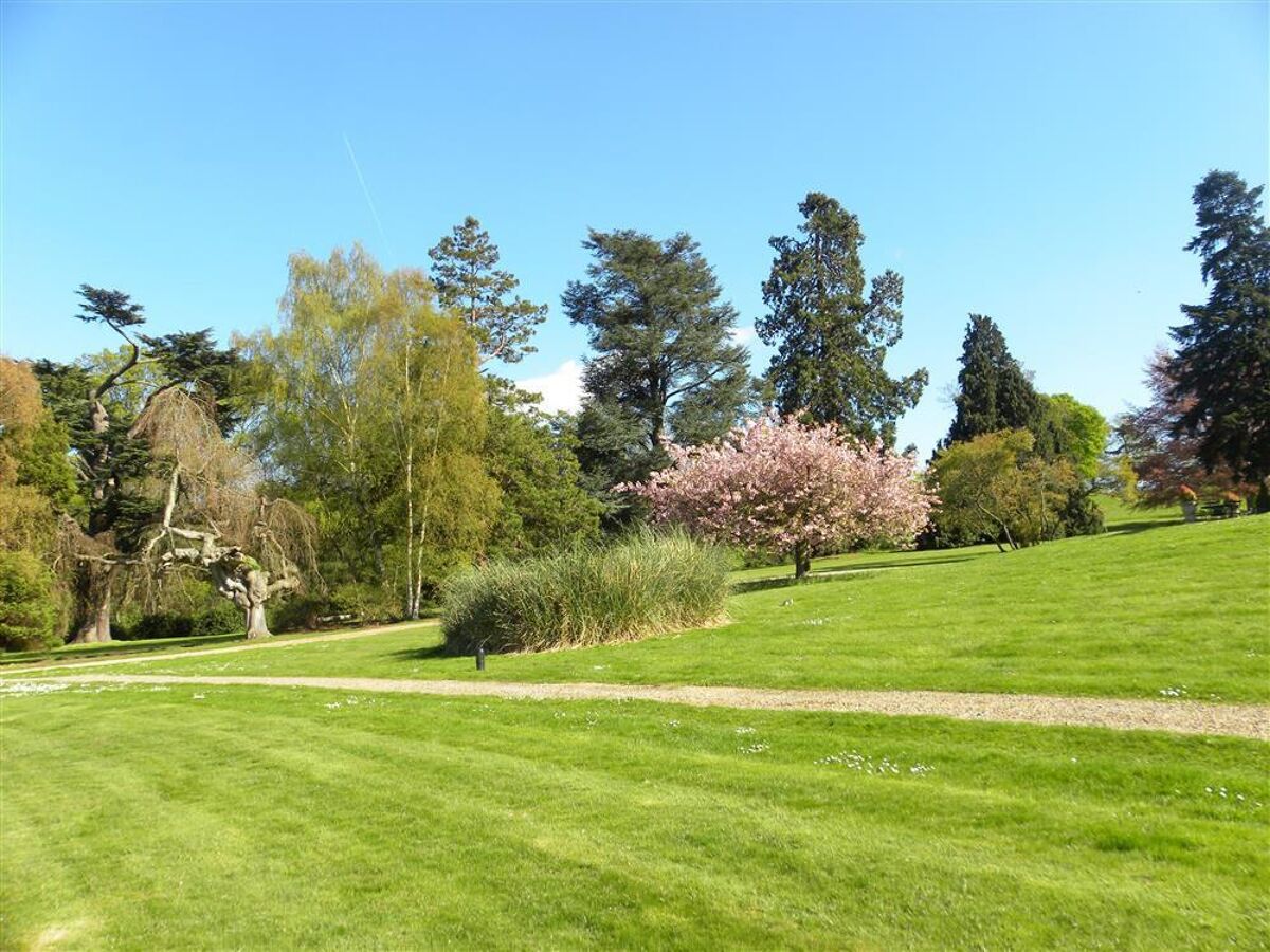 house to rent in The West Wing, Cobham Park, Cobham, Surrey, KT11