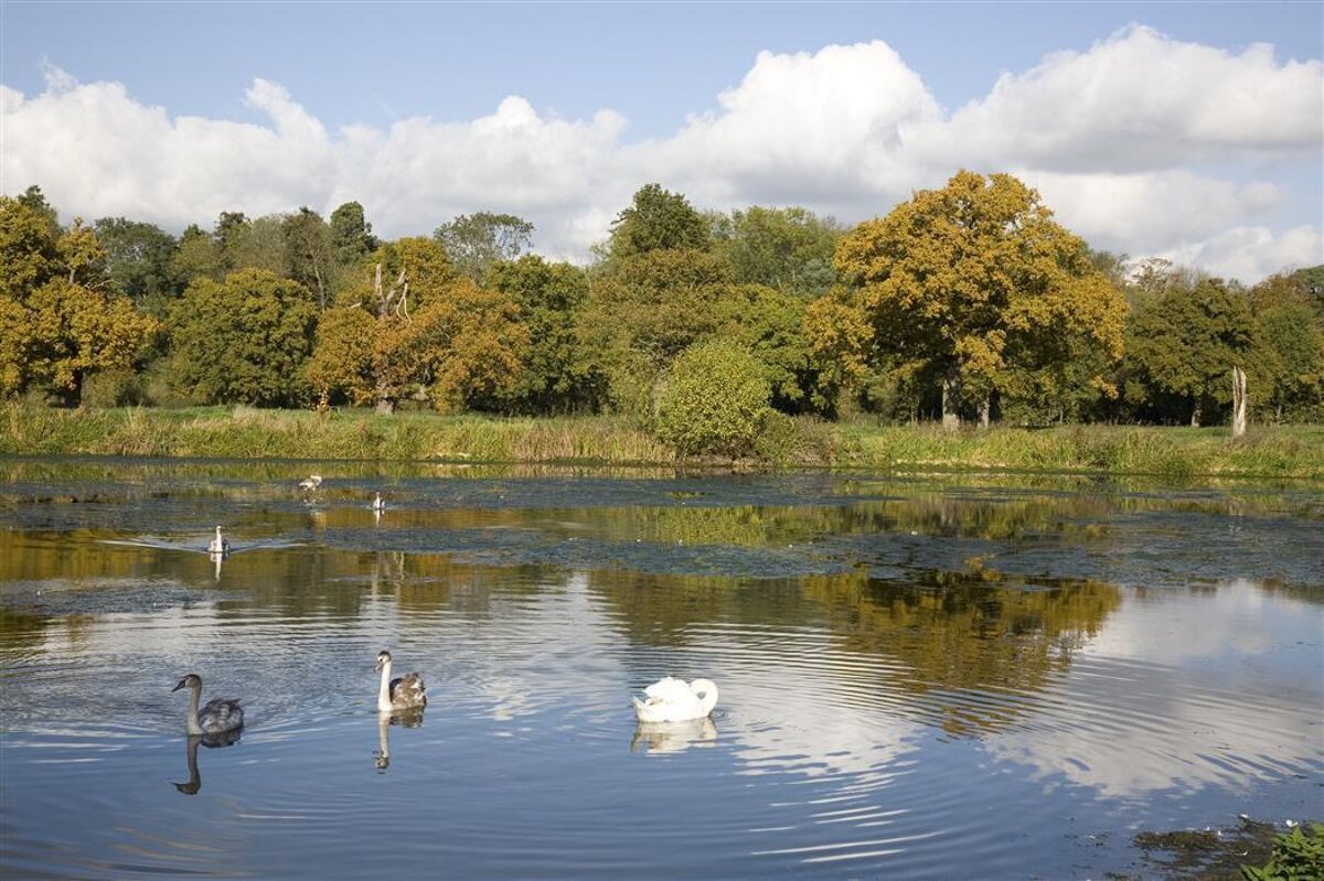 house to rent in The West Wing, Cobham Park, Cobham, Surrey, KT11