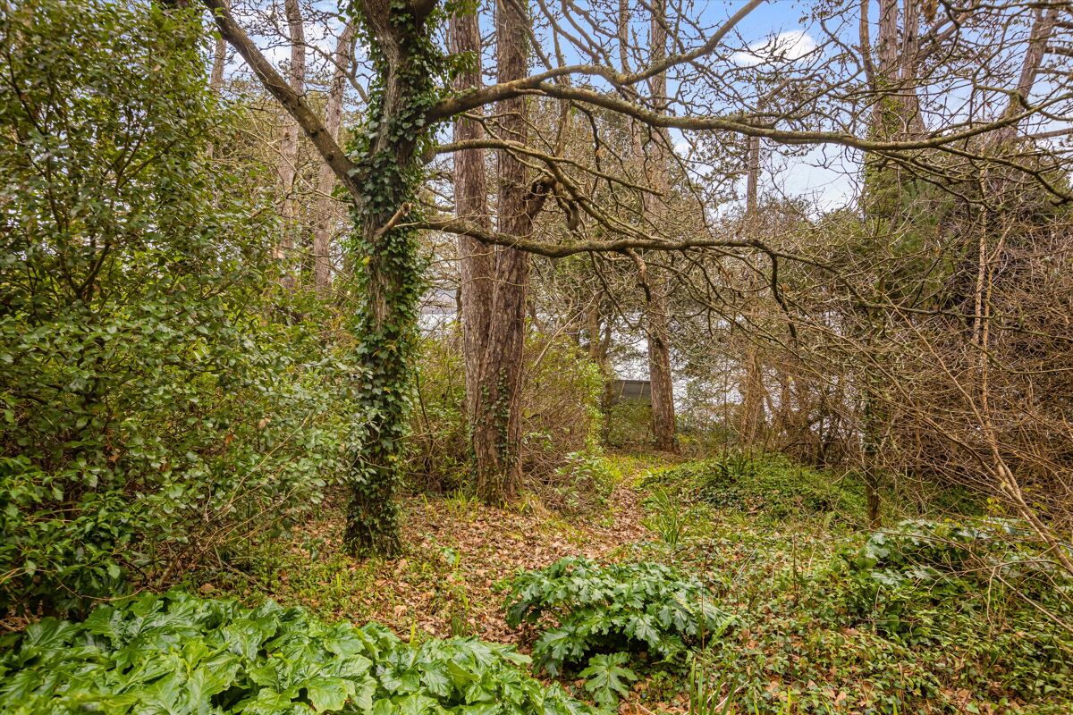 house for sale in Loe Beach, Feock, Truro, Cornwall, TR3 EXE012009891