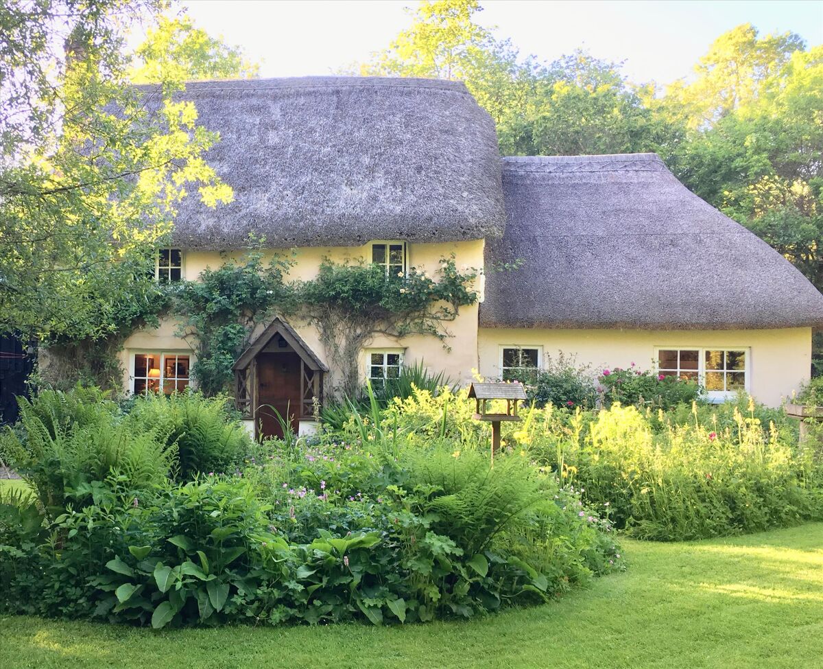 house for sale in Dolton, Winkleigh, Devon, EX19 EXE012068621