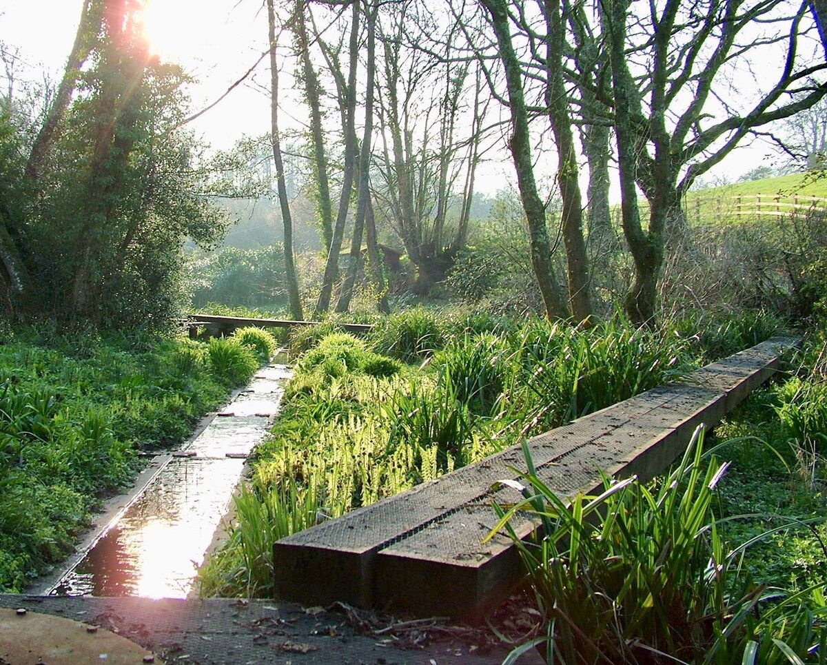 house for sale in Dolton, Winkleigh, Devon, EX19 EXE012068621