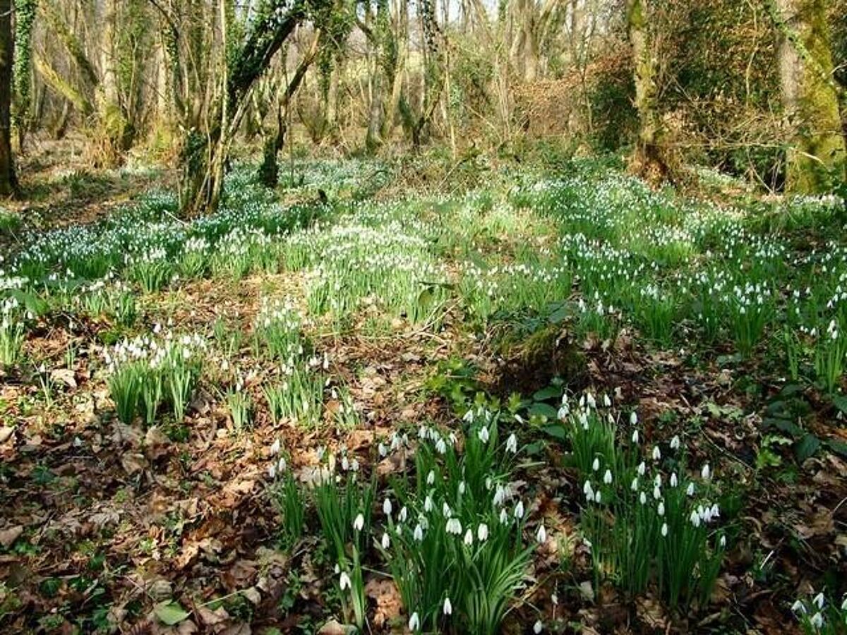 house for sale in Dolton, Winkleigh, Devon, EX19 EXE012068621