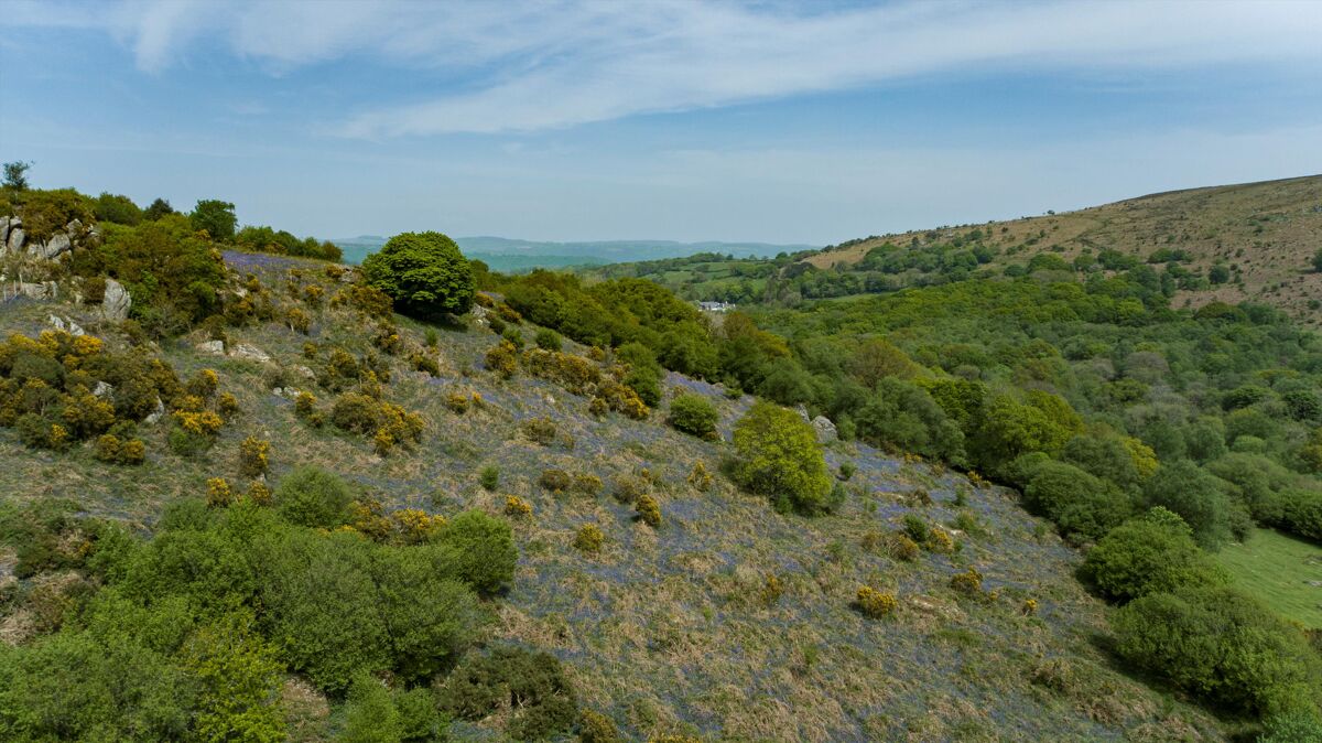 house for sale in Manaton, Newton Abbot, Devon, TQ13 EXE012094414