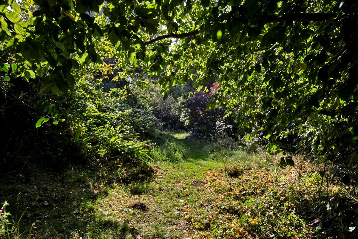 house for sale in Knowle Road, Budleigh Salterton, Devon, EX9