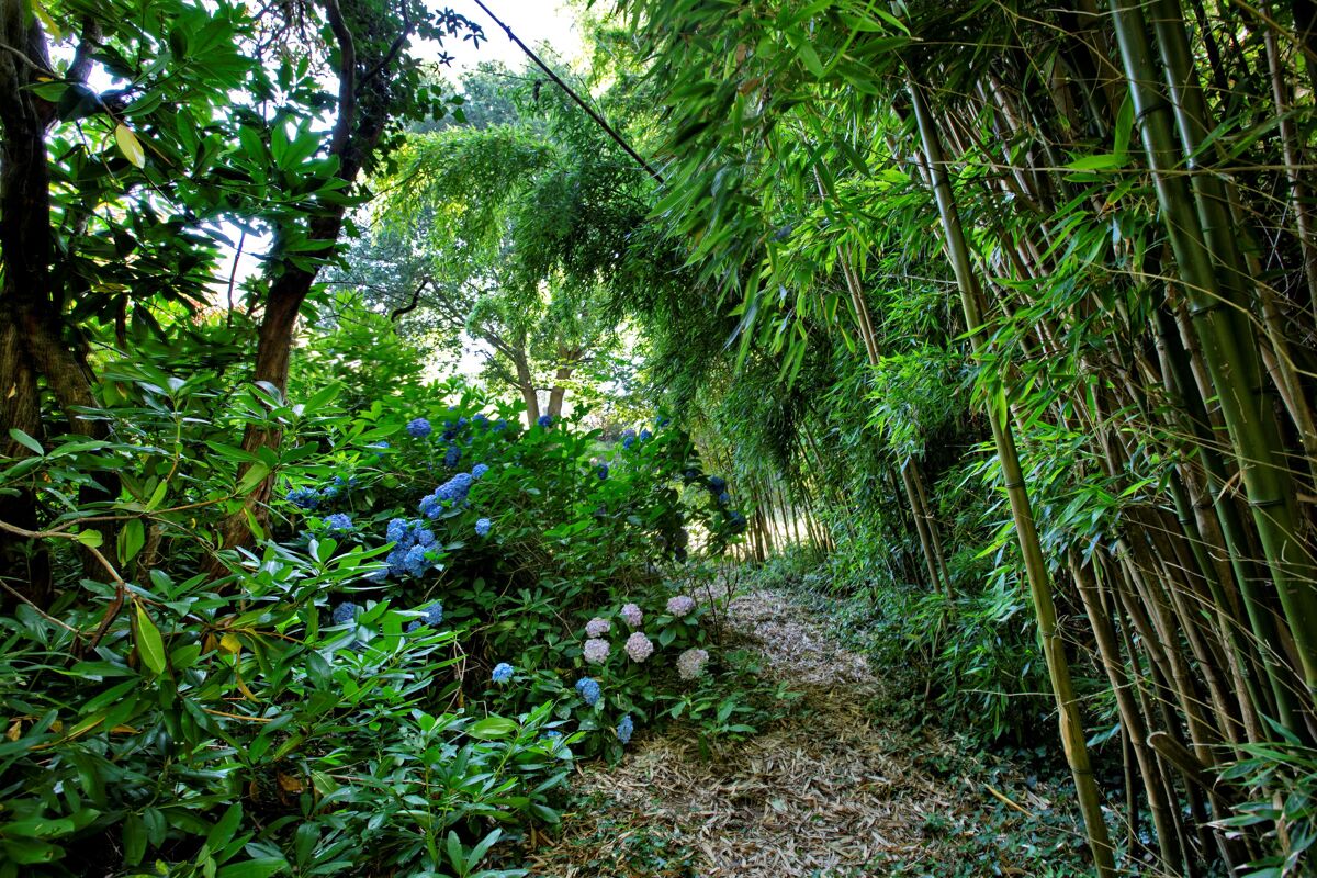 house for sale in Knowle Road, Budleigh Salterton, Devon, EX9