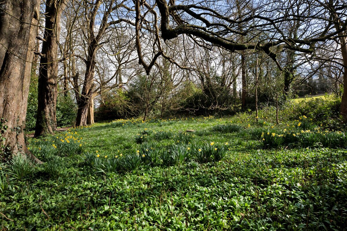 house for sale in Dartington, Totnes, Devon, TQ9 EXE012170778