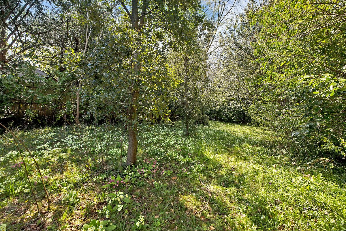 house for sale in Landsdowne Road, Budleigh Salterton, Devon, EX9