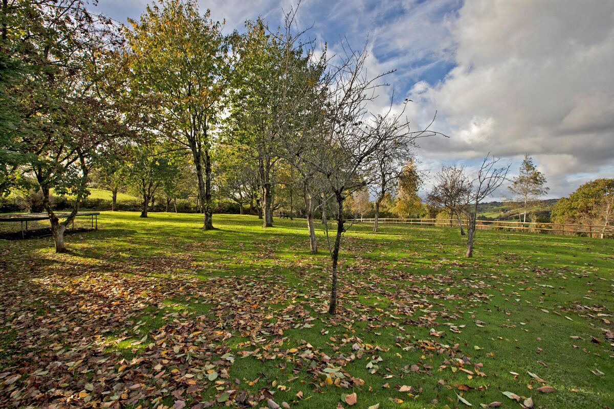 house for sale in Westwood Lane, Longdown, Exeter, Devon, EX6