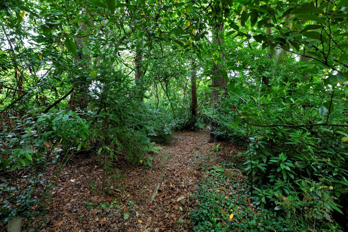 house for sale in West Hill Road, West Hill, Ottery St. Mary, Devon