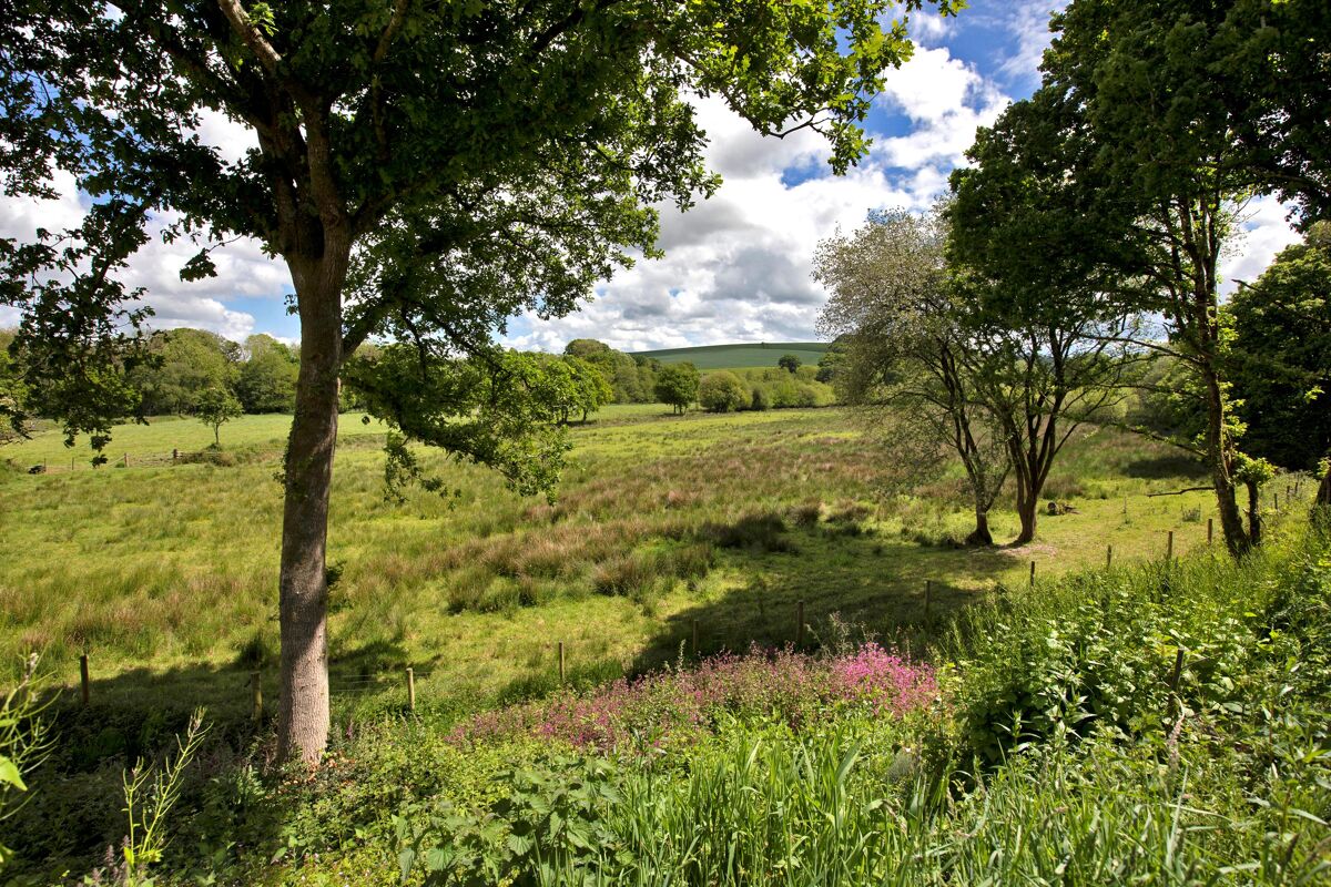 house for sale in South Molton, Devon, EX36 EXE012280952 Knight Frank