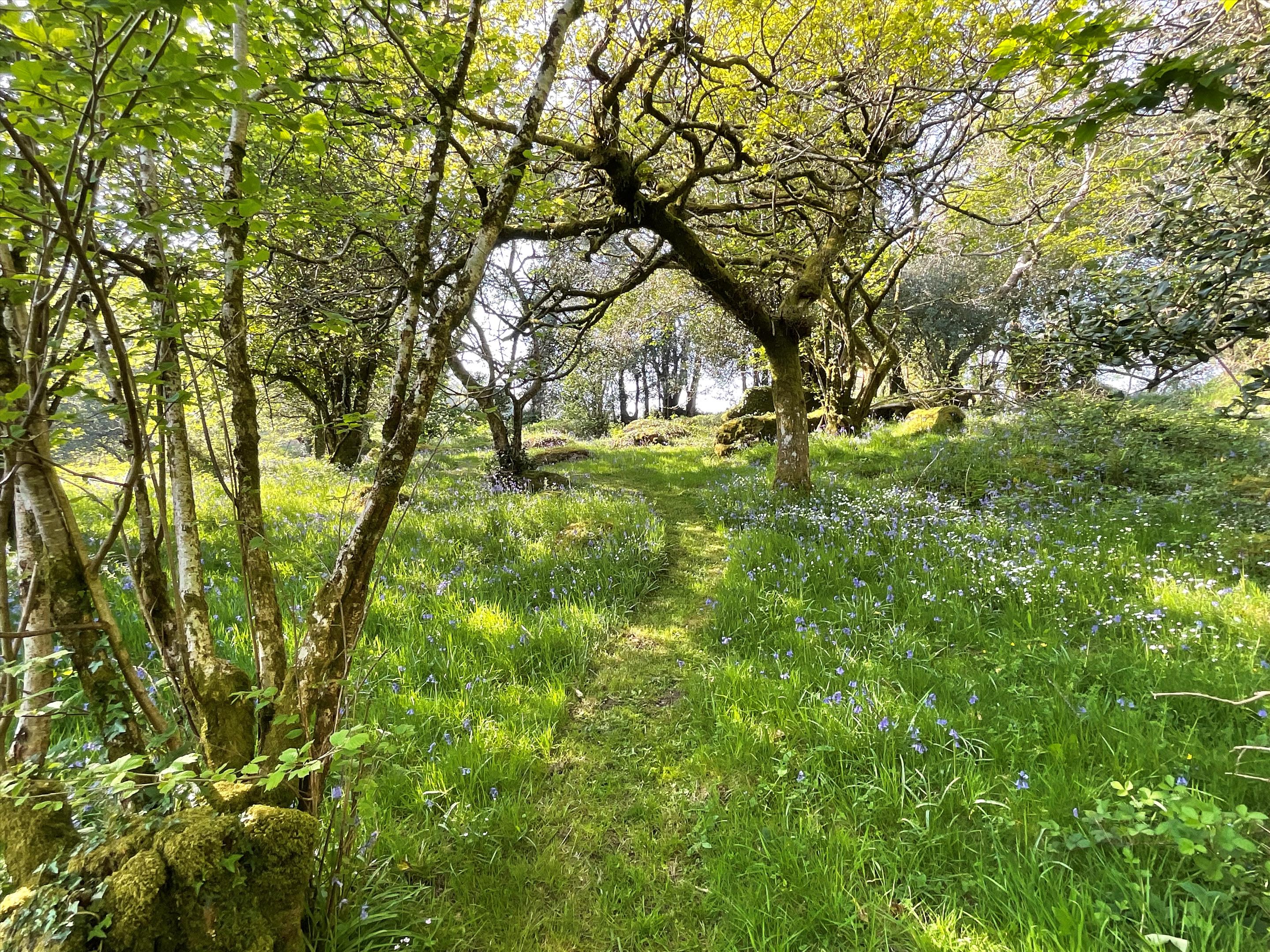 Newton Abbot