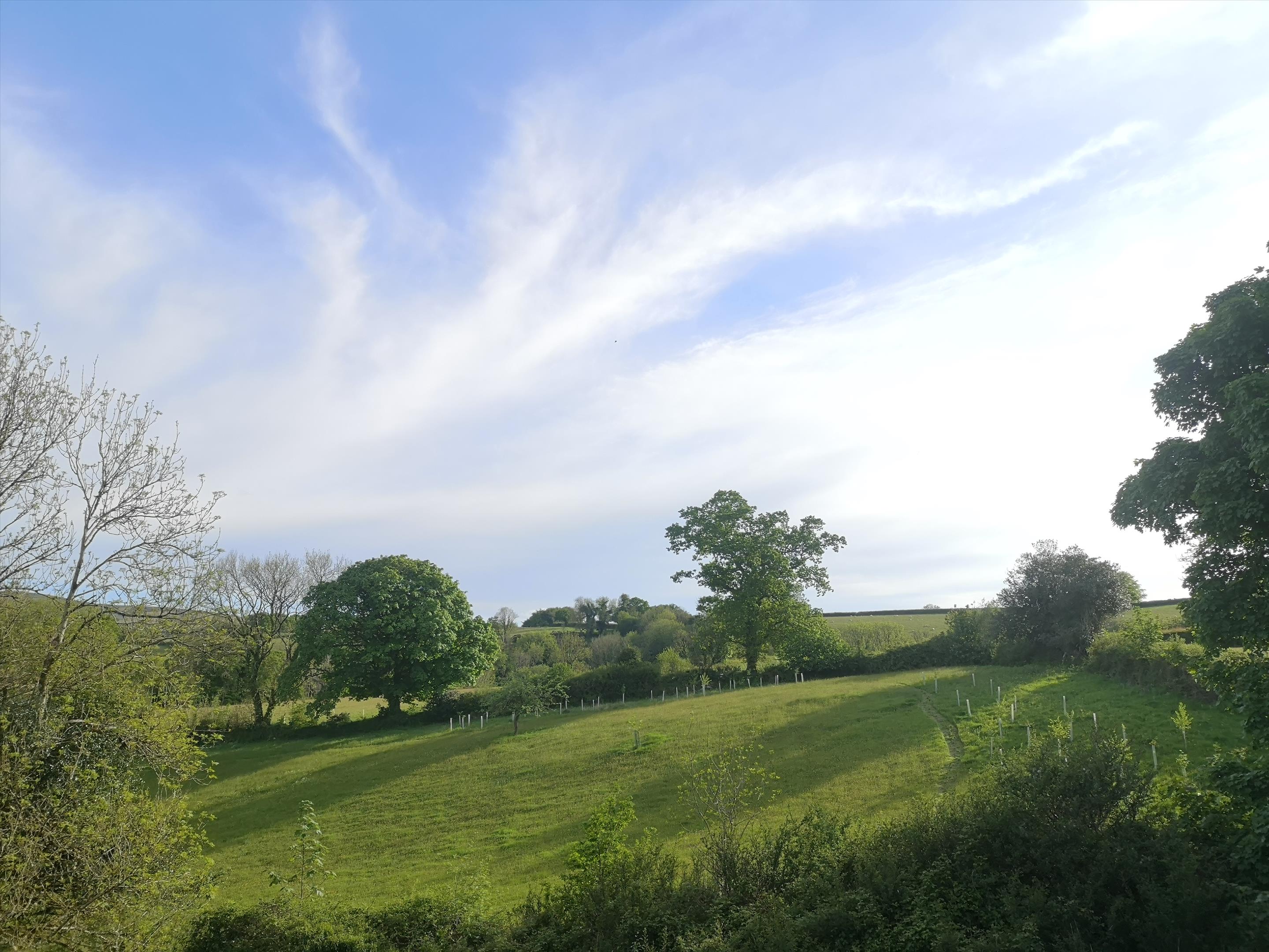 Newton Abbot