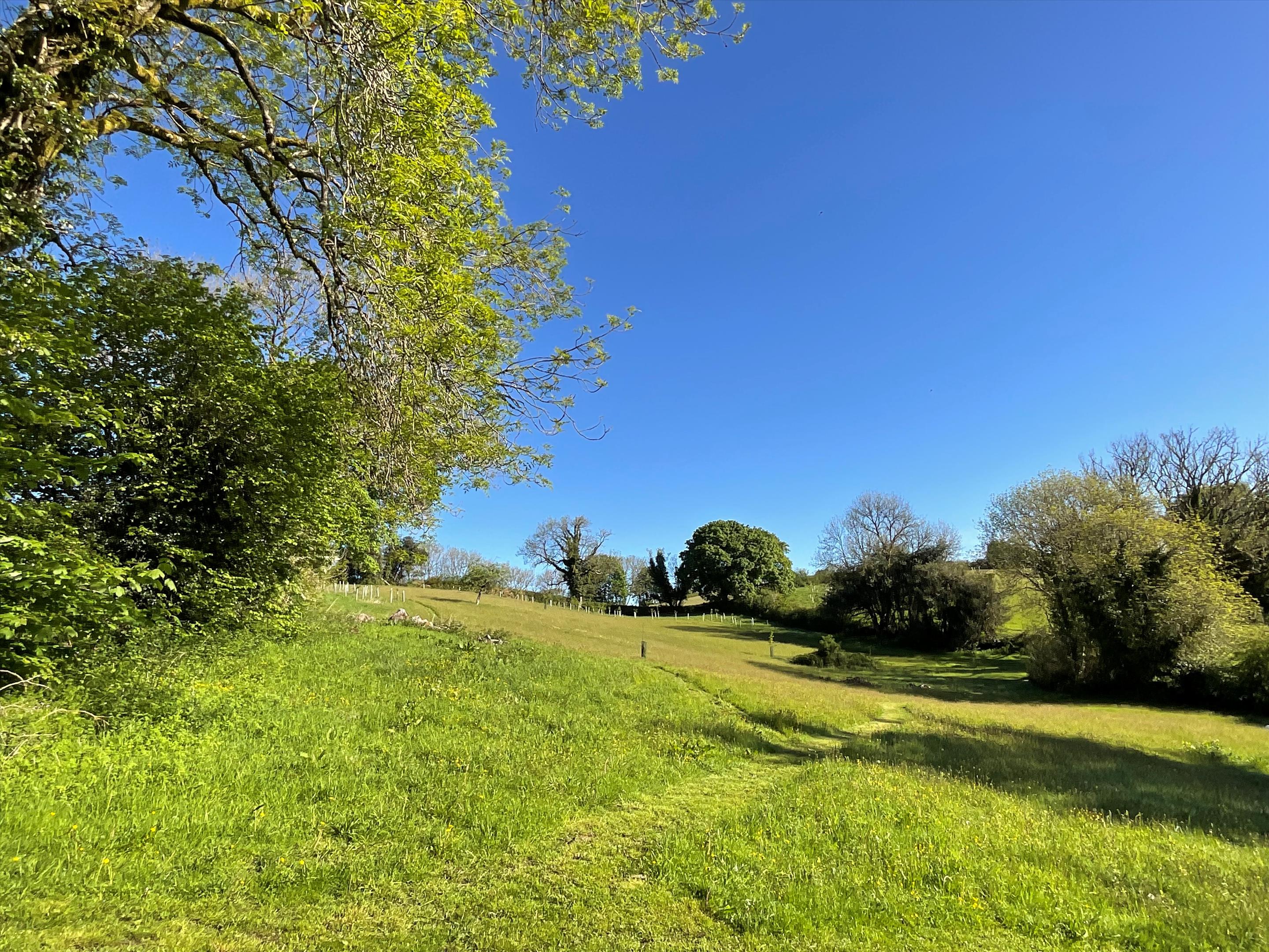 Newton Abbot