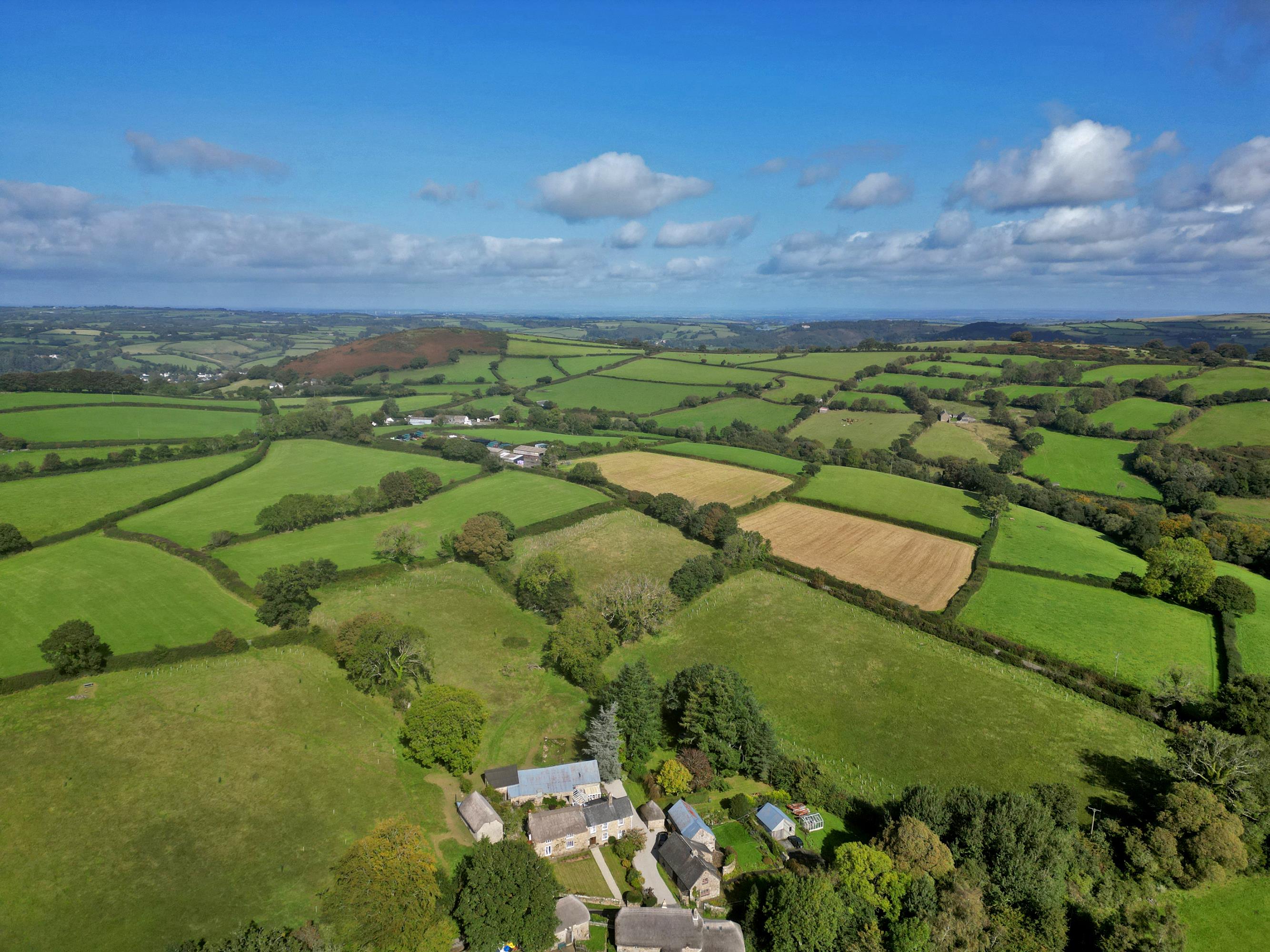 Newton Abbot