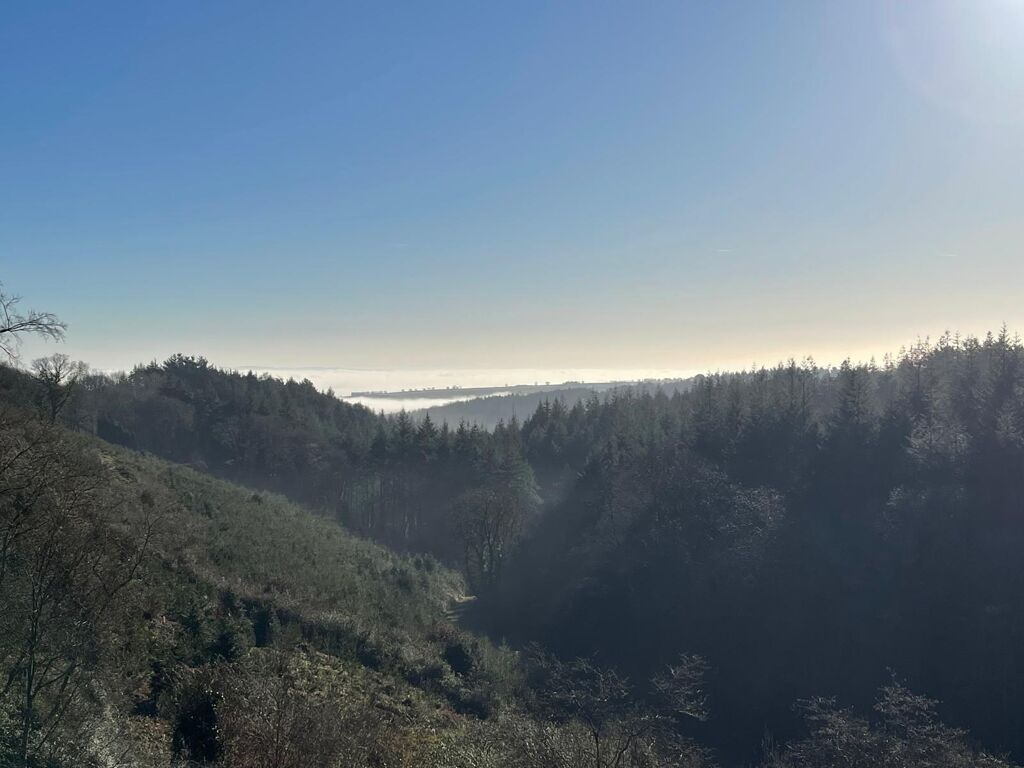 Image of Longdown, Exeter, Devon, EX6