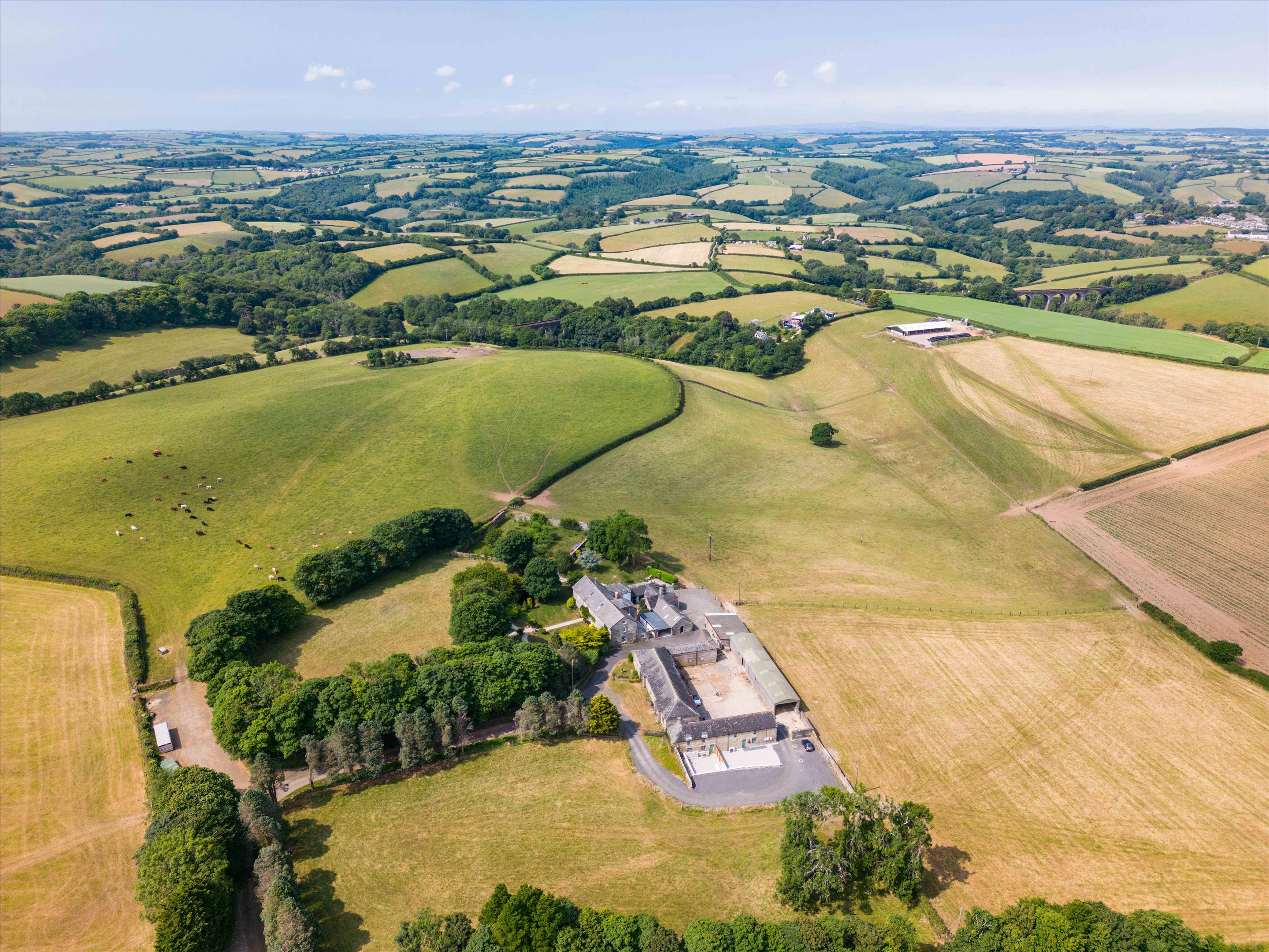 Elevated Country Living in a Timeless Sanctuary 2