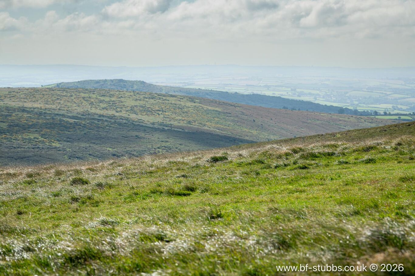 Image of Didworthy, Dartmoor, South Brent, Devon TQ10